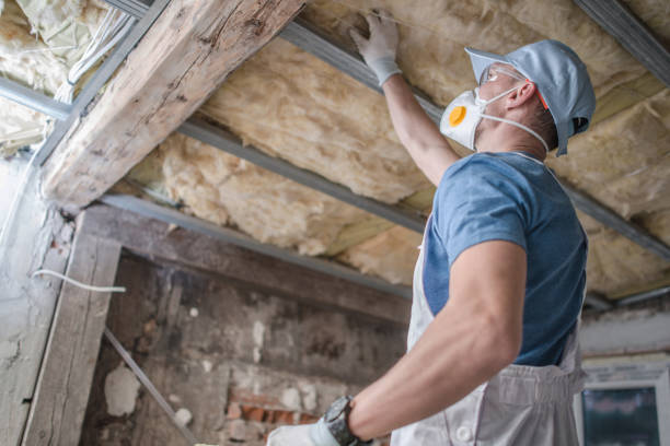 Best Energy-efficient Insulation  in Clisle, AR