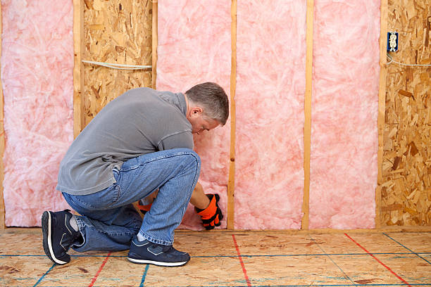 Best Home Insulation Services  in Clisle, AR